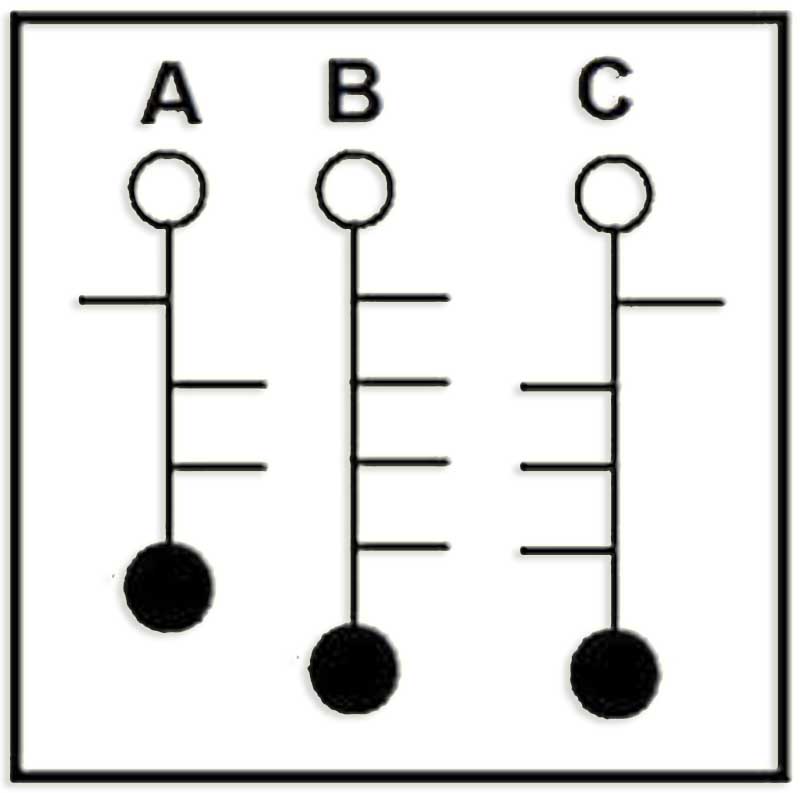 40