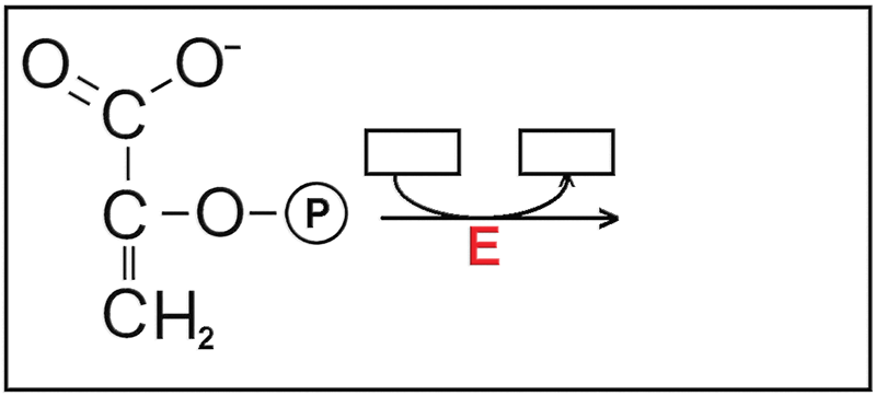 M2PR11