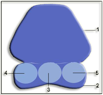 clip_image026