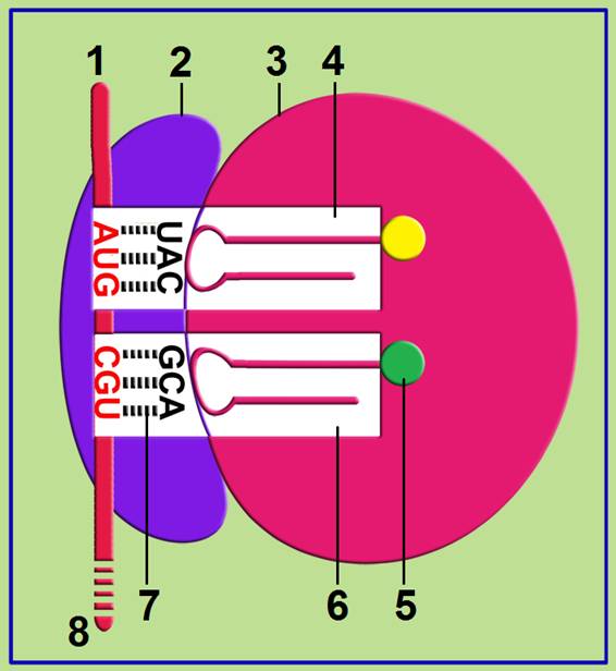 clip_image004