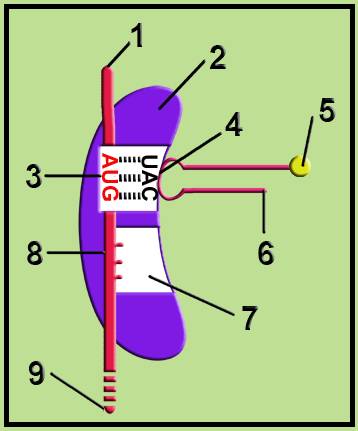 clip_image002