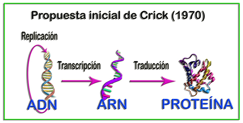 Crick2
