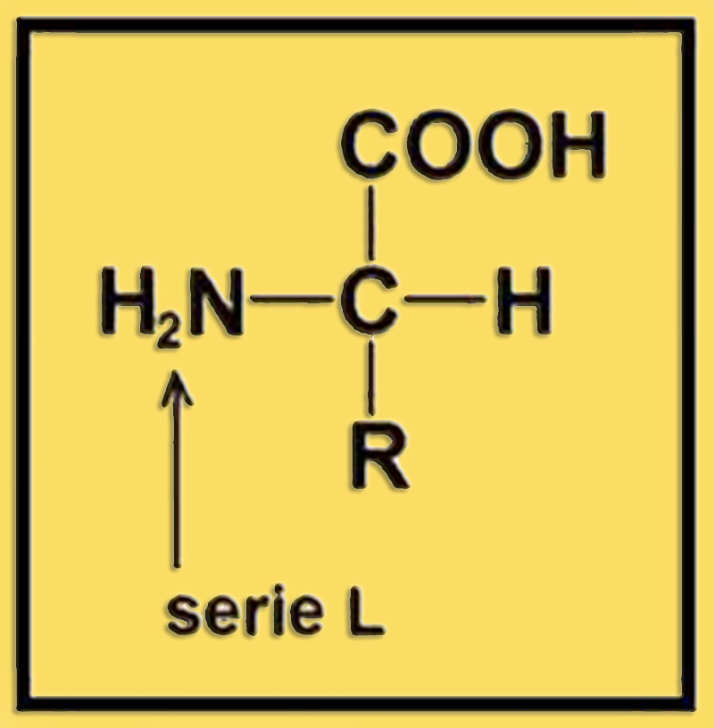 GruposAA3L
