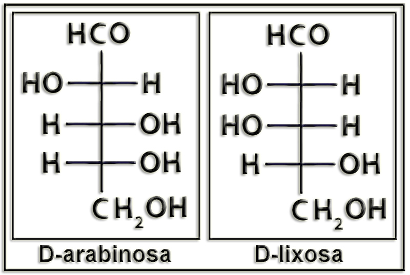 Lixosa2