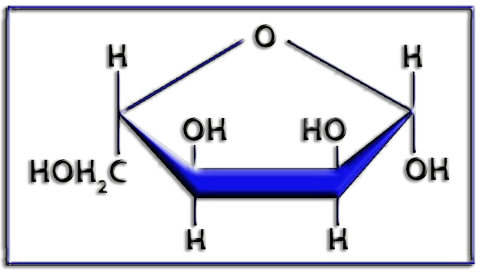 RibosaLb