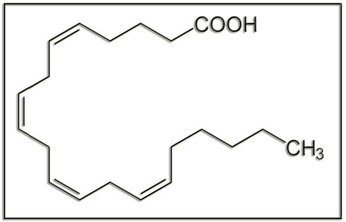 AcAraq1