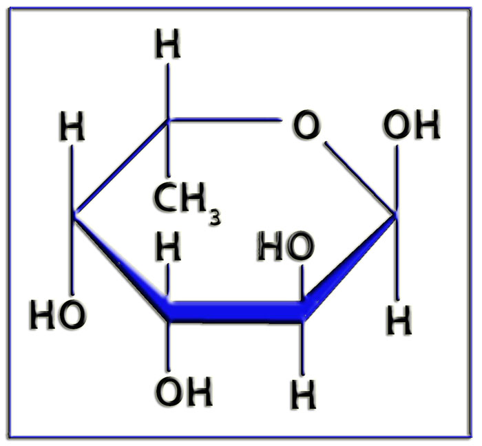 Fucosa