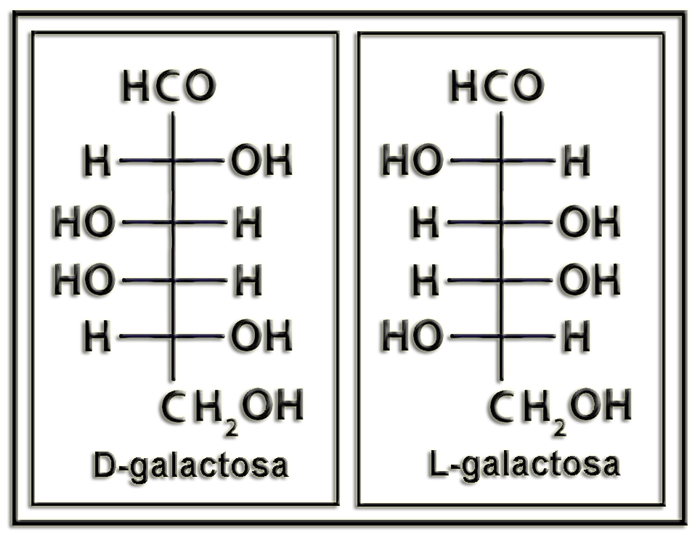 GalactDL