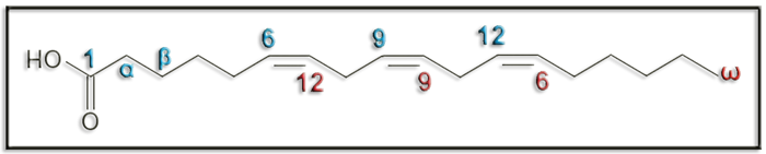 02b