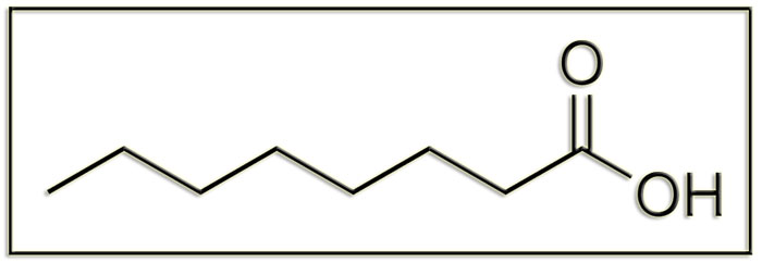 AcOctanoico