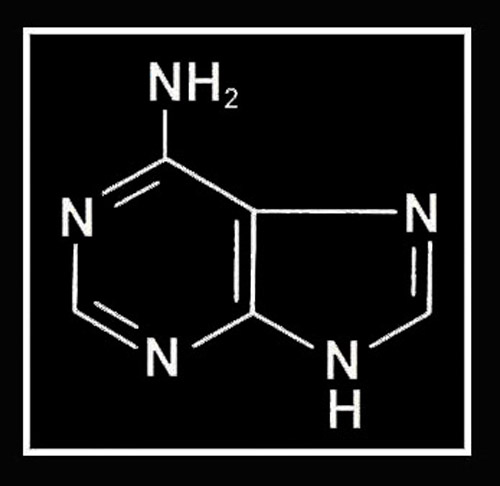 016cc