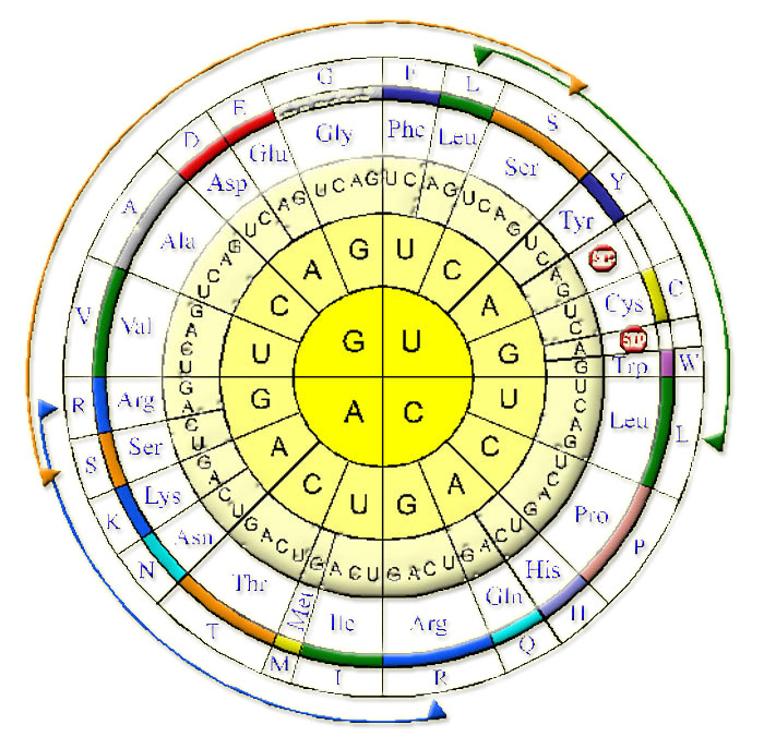 Diagrama