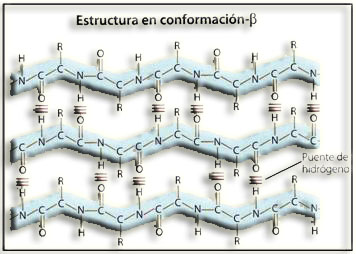 Hoja plegada β