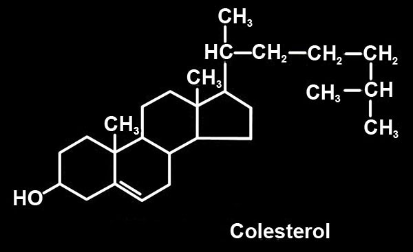 Vit-24