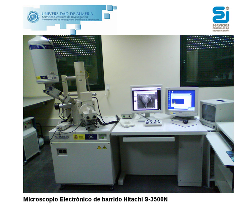 MEB 2