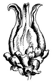 018b