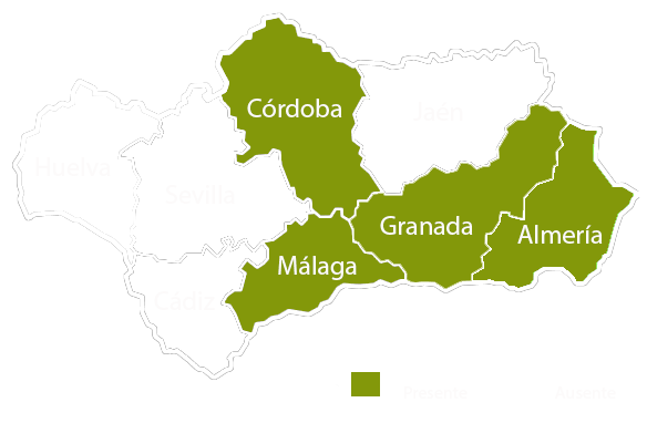 Andalucia copia