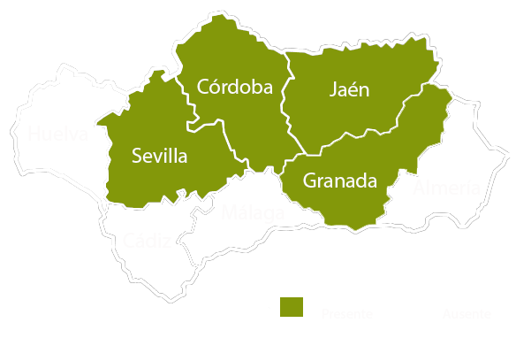 Andalucia