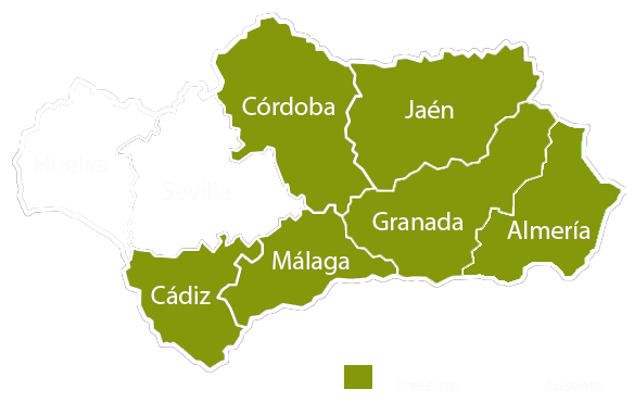 Andalucia copia