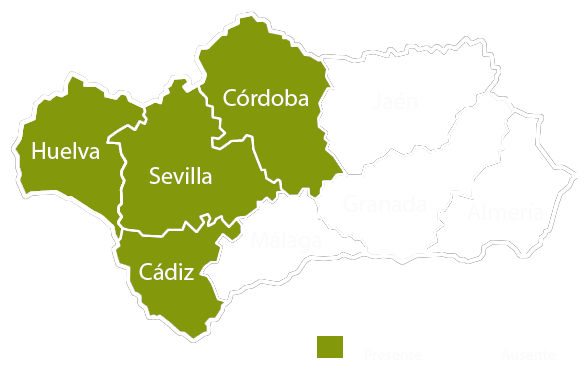 Andalucia copia