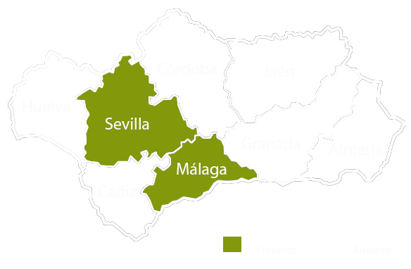 Andalucia copia