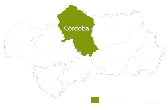 Andalucia copia