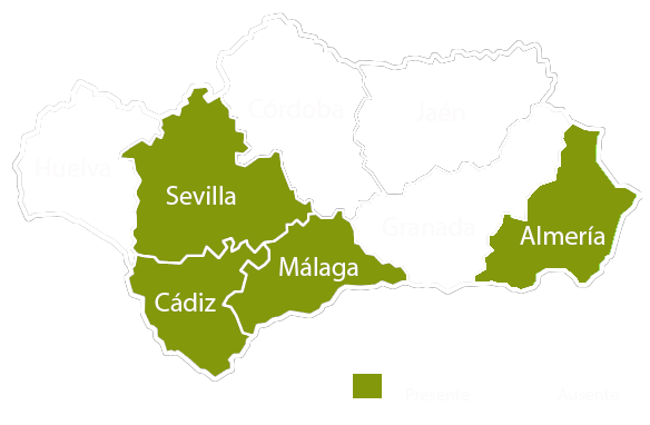 Andalucia