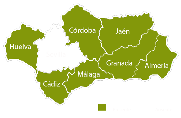 Andalucia copia