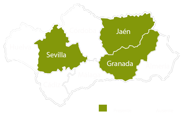 Andalucia copia