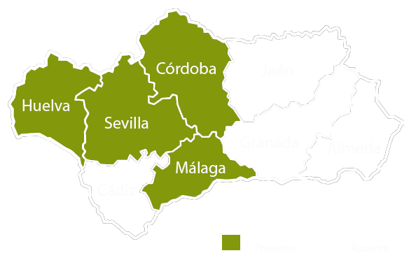 Andalucia