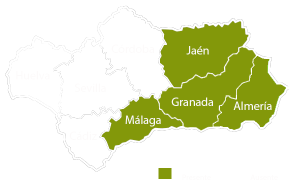 Andalucia copia