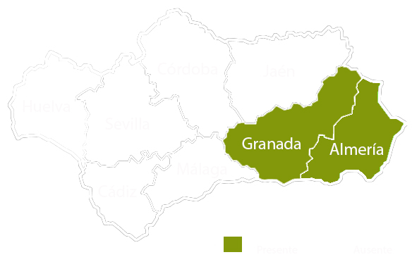 Andalucia