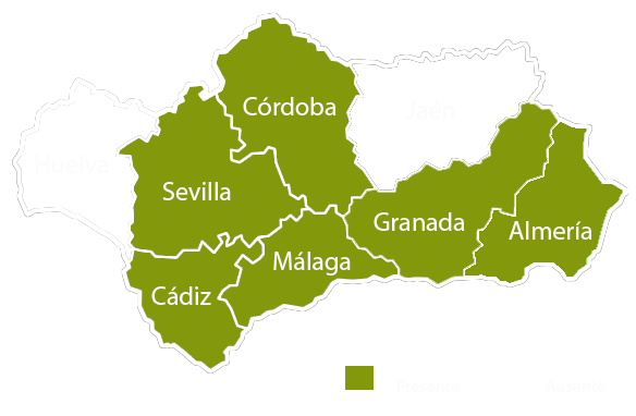 Andalucia copia