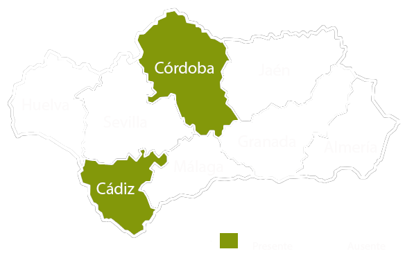 Andalucia