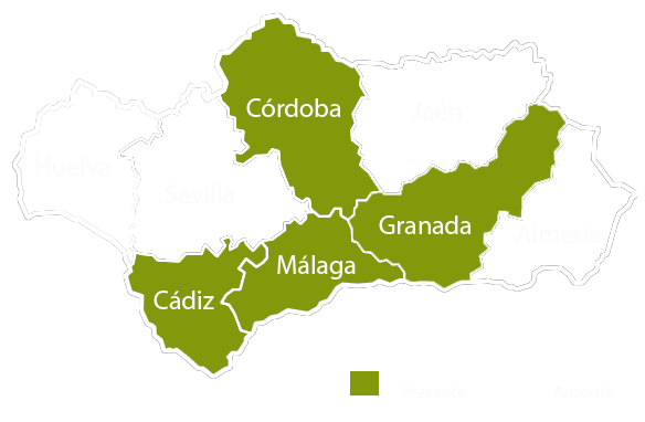 Andalucia copia