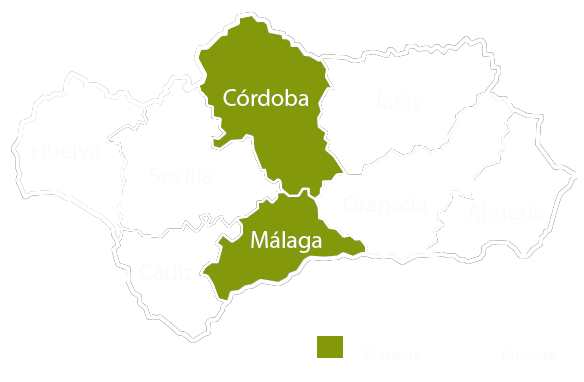 Andalucia