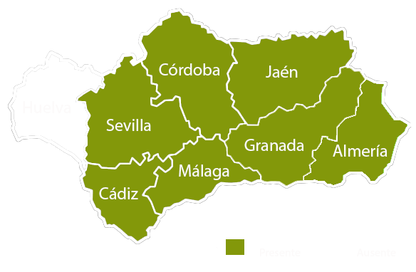 Andalucia copia