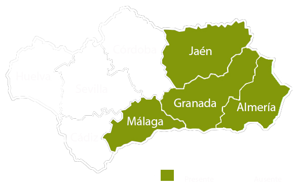 Andalucia copia