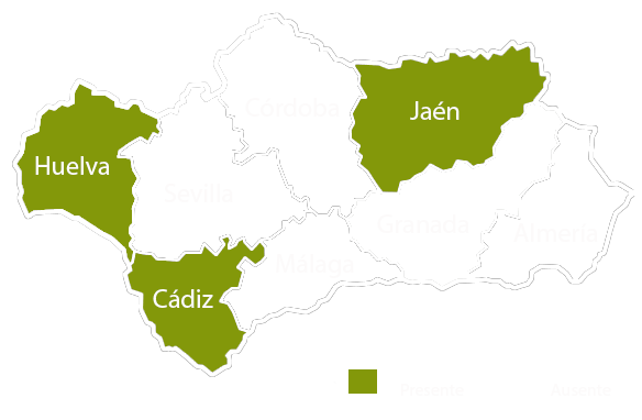 Andalucia copia