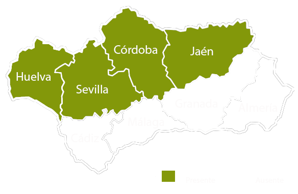 Andalucia