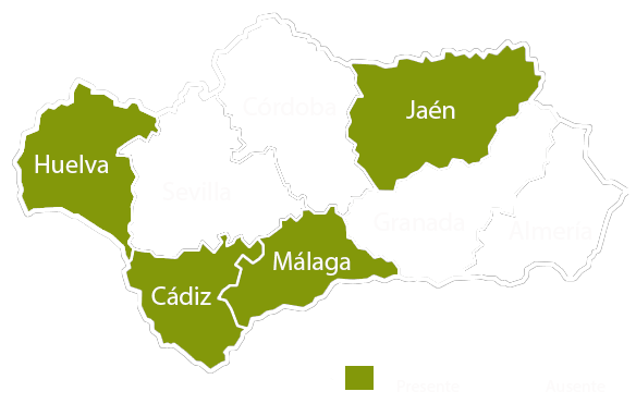 Andalucia copia