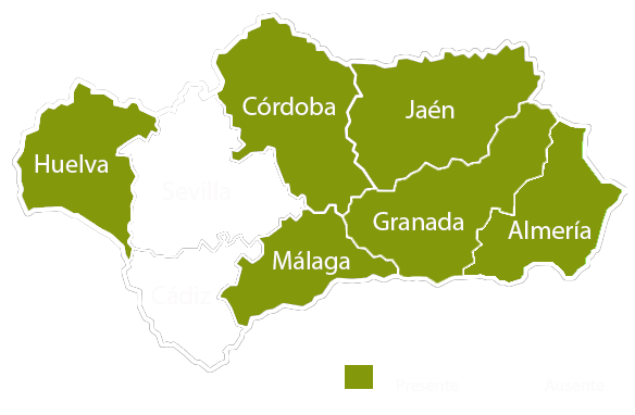 Andalucia copia