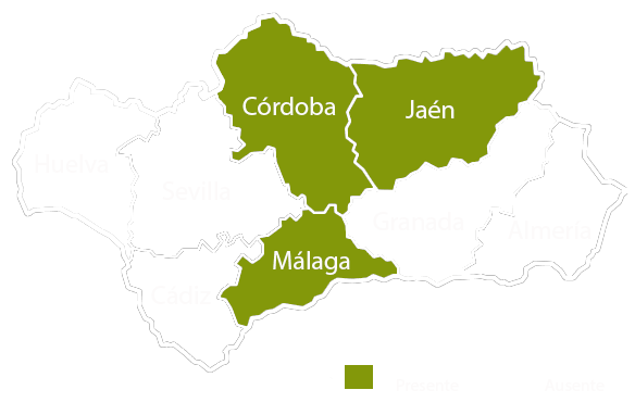 Andalucia