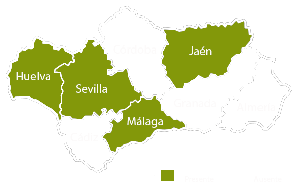 Andalucia