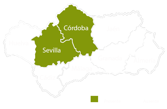 Andalucia