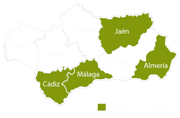 Andalucia copia