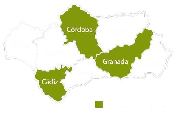 Andalucia copia