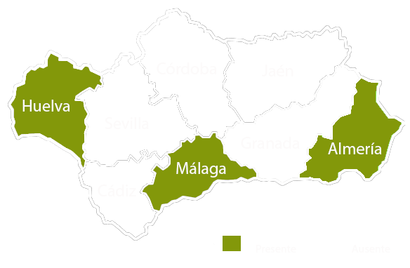 Andalucia