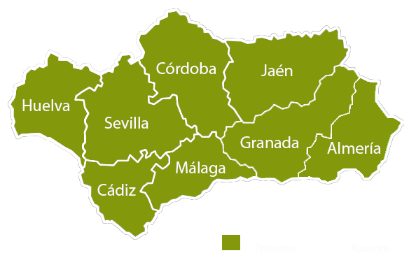 Andalucia copia