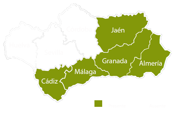 Andalucia copia